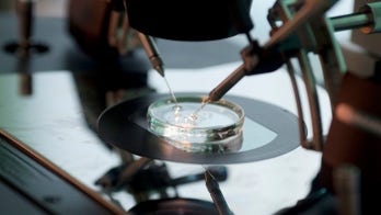 IVF kids may have higher risk of high blood pressure