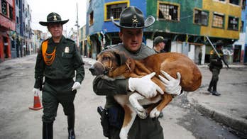 Colombia police rescue dogs from troubled neighborhood