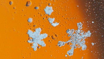 Snowflake Watch: Safe words for safe spaces