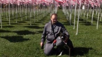 2014 American Humane Association Hero Dog Awards