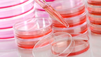 Study on yeast could hold secrets of human longevity