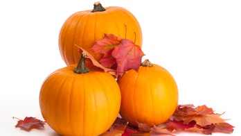 Pumpkin preparation tips — 'so smart!' — for Halloween and the fall season