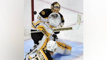 Newly discovered wasp named after Boston Bruins goalie Rask