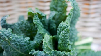 Ways to keep a garden going in winter