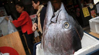 Feds and Walmart allege canned tuna prices fixed