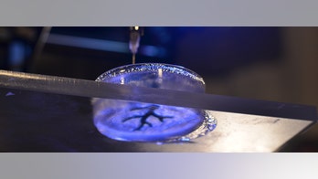 Bioengineers invent new method to 3-D print embryonic hearts, coronary arteries