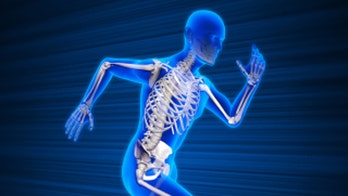 Scientists study the evolution of human bone structure