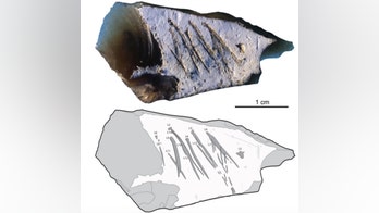 Are these Neanderthal etchings a long-lost message?