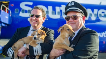Southwest Airlines flies 62 dogs and cats out of Puerto Rico for adoption in US
