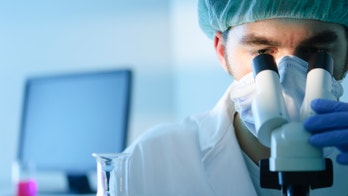 Breast biopsy accuracy is questioned in experimental study