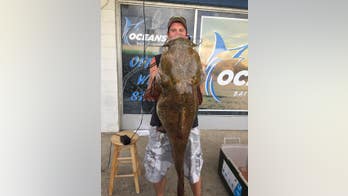 Virginia man reels in record-breaking catfish with $20 Walmart fishing rod