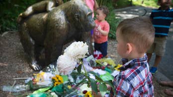Director: Zoo safe despite shooting of gorilla to save boy