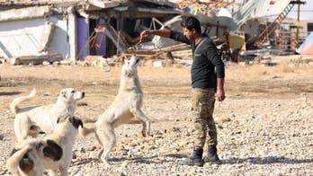 Iraq's government ferrying relief supplies to Mosul