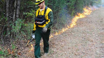 Wildfires burning around South as drought worsens