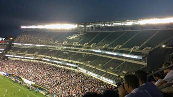 Copa America crowds below World Cup but above projections