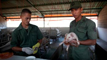 Venezuelan's military begins campaign to combat shortages