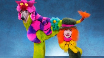 Dogs transformed into works of art at extreme grooming contest