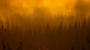 Chile's worst wildfires destroy everything in their path
