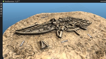 Museum scans dinosaur, mammoth -- in 3D