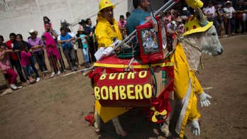 Small Mexican town fetes the donkey with May Day festival