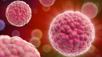 Study: Cold virus hitches a ride to kill cancer