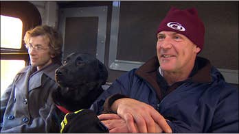 Black lab in Seattle likes to hop on bus, take solo ride to her dog park stop