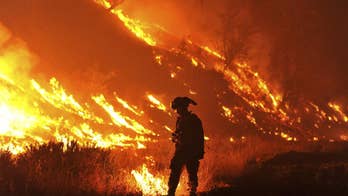 As globe warms to record levels, headlines far beyond weather make for a very hot year