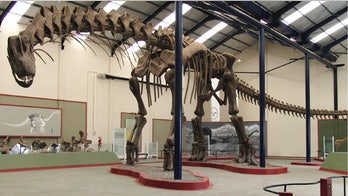 Largest dino of all time is digitally recreated