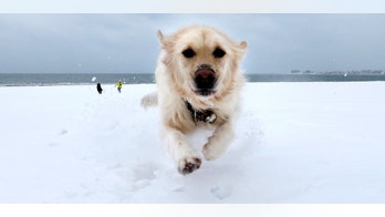 Winter solstice: What is it and when does it occur this year?