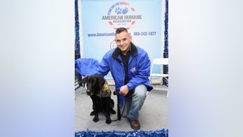 Military dogs save lives and serve our nation: They deserve better