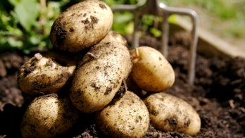 Man on 60-Day Potato Diet Has Had His Fill