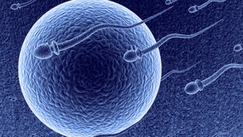 Sperm freezing on the rise, experts say