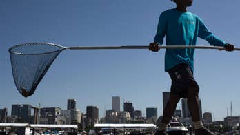 Brazilian police probe whether water utility treats sewage