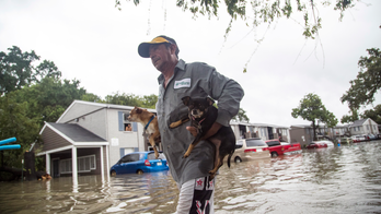 Harvey dilemma: Stay as water rises or risk flooded roads?