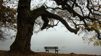 Swedish community plagued by suicides amid anxiety over climate change