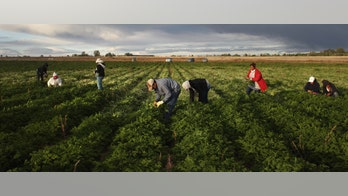 Canada-Mexico Guest Worker Program Touted as Model for U.S. To Replicate