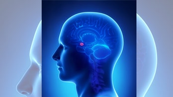 Can hormone therapy stave off Alzheimer's?