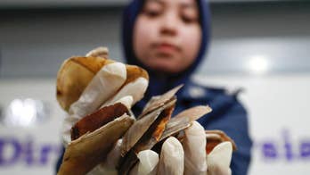 Malaysia seizes African pangolin scales worth $2.1 million