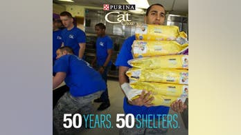 Brooke Burke-Charvet Supports Purina Program