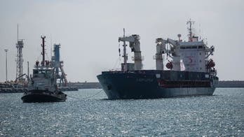 Turkish ship carrying aid to Gaza reaches Israeli port