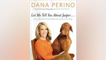 Dana Perino announces 'America's Dog' Jasper has died