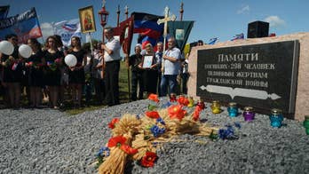 Relatives of MH17 victims seek EU help in getting radar data
