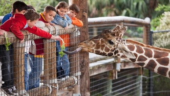Zoo forced to put all its mammals on birth control
