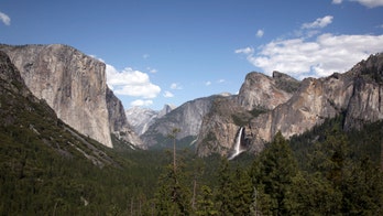 Yosemite hantavirus outbreak may offer clues to rare disease