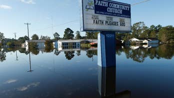 The Latest: North Carolina shelter helps with storm dogs