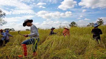 Thai junta fines ex-PM for last rice subsidy, funds another