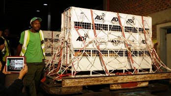 33 rescued lions arrive in South Africa in airlift