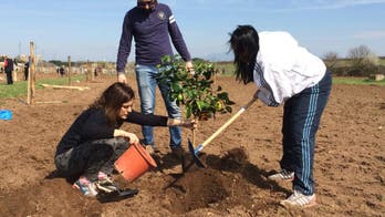 Squatters' urban garden comes to life with pope's tacit OK