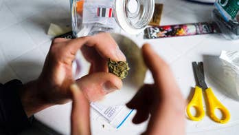 Uruguay marijuana growers compete in Cannabis Cup