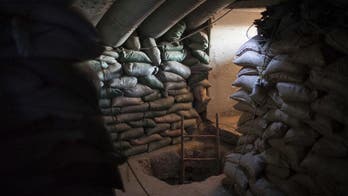 Iraq's ascendant Shiite militias take the fight to Tal Afar